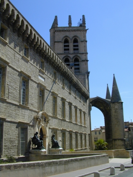 faculte de medecine
