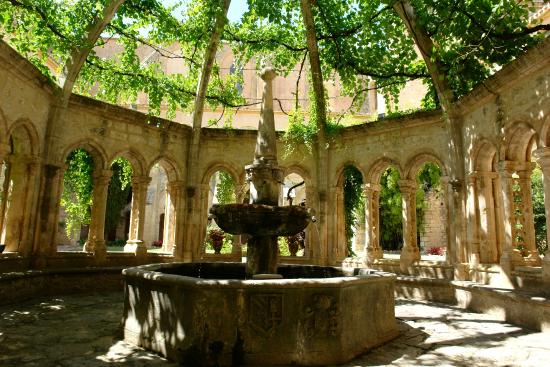 Valmagne : la cathédrale des vignes!