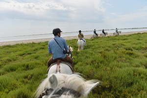 Balade à cheval