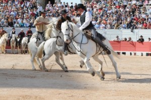 02-fete-des-gardians-2-500x332
