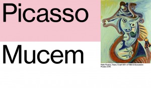 picasso_caroussel_02