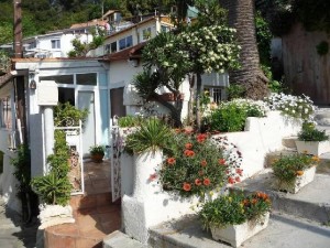 vente_maison_a_pradet_le_83220_2330032459709386200