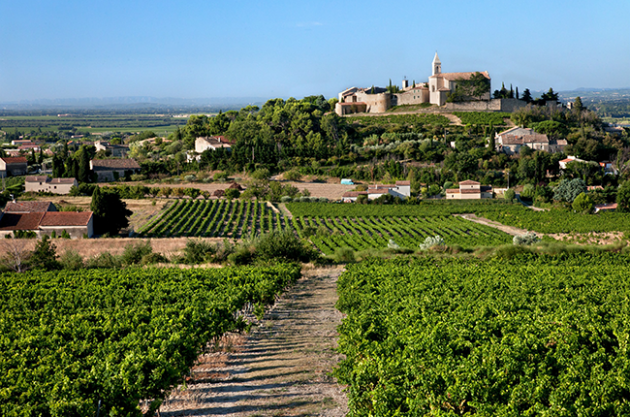 LA PROVENCE DES PAPES version Escapade viticole*